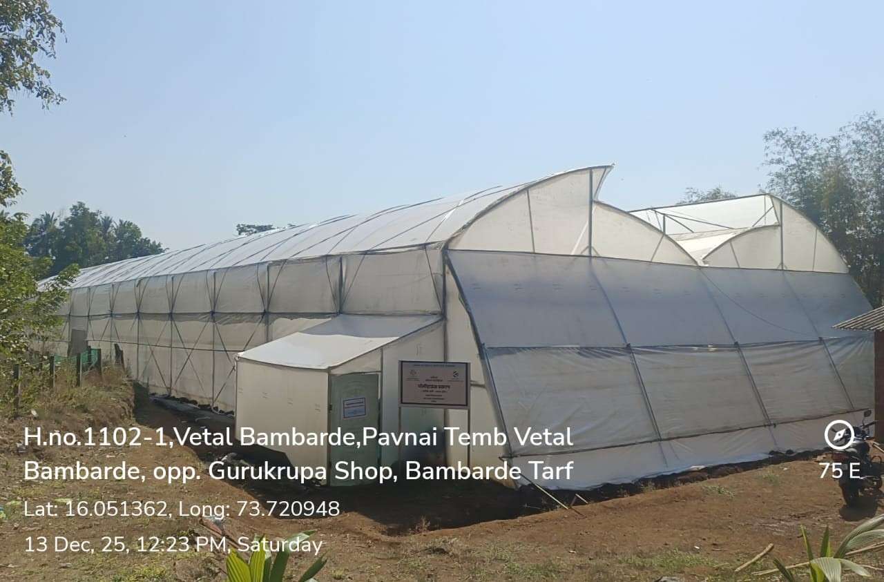 Site Image 10
