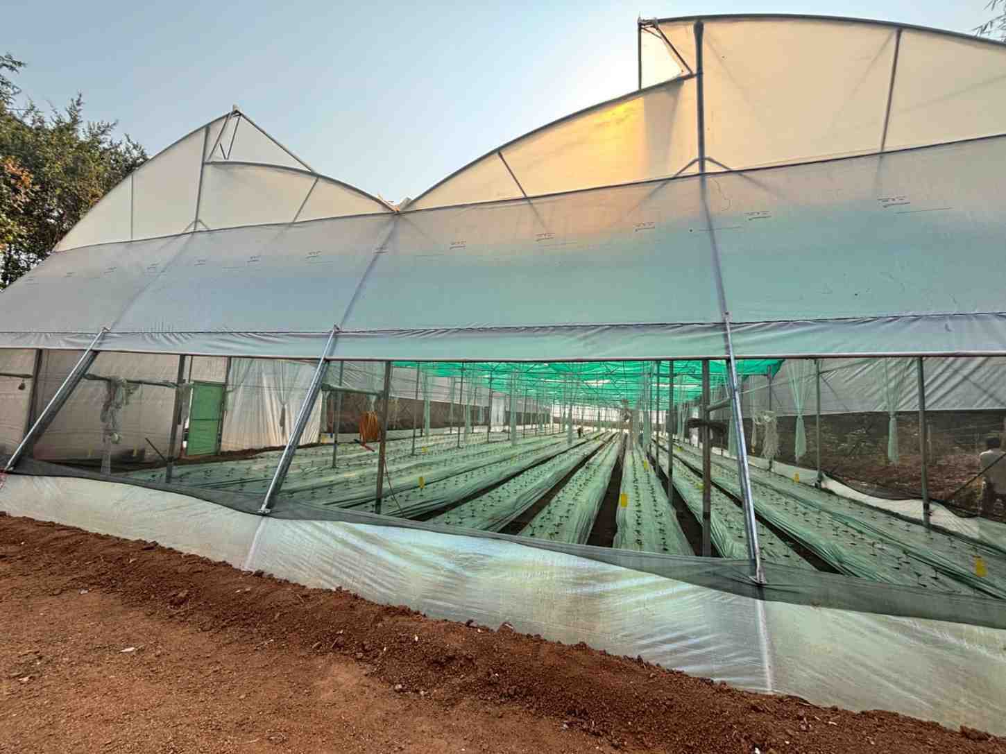Site Image 3
