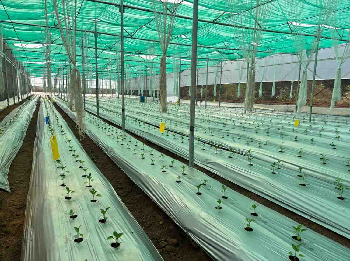 Site Image 5